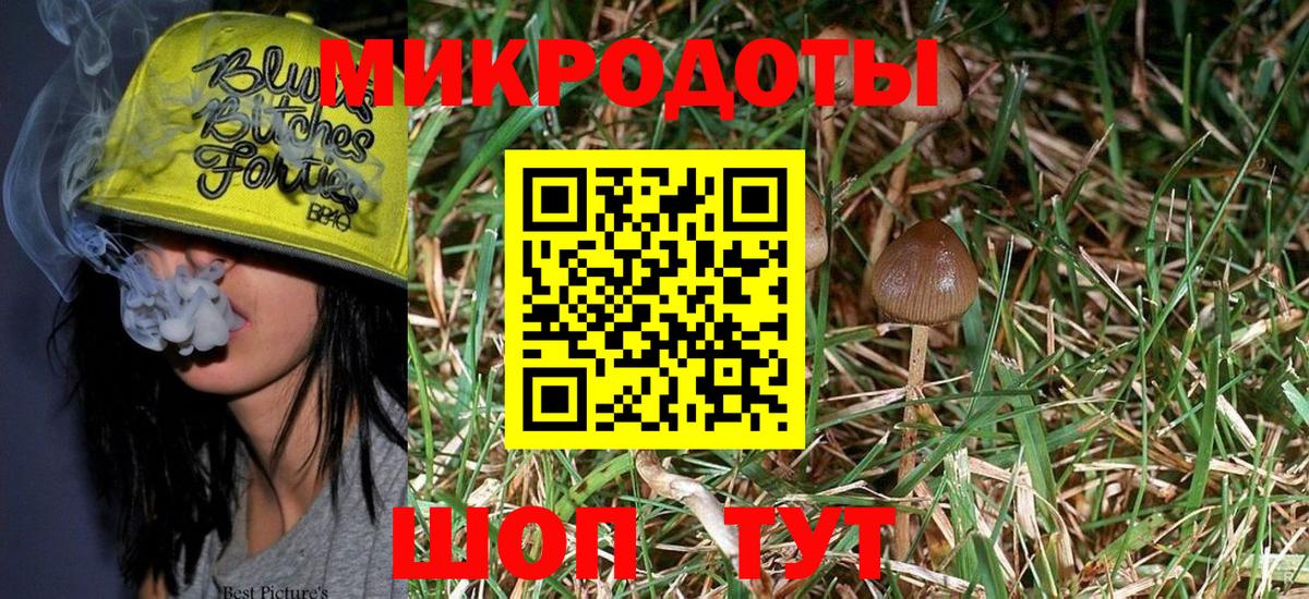 Галлюциногенные грибы Psilocybe  наркота  Псилоцибиновые грибы мицелий  Артём  Вход с VPN 