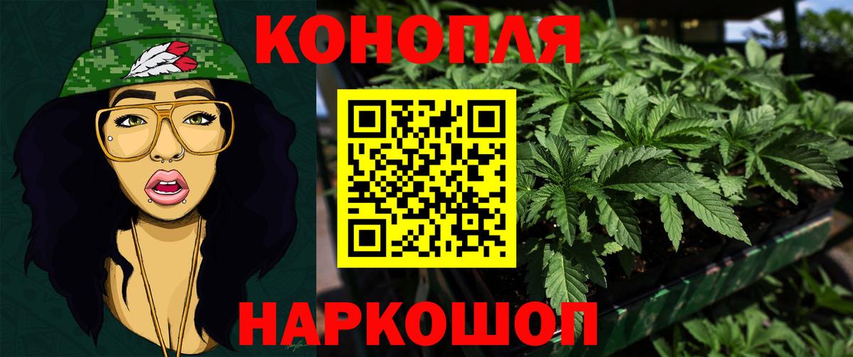 Бошки марихуана SATIVA & INDICA Артём